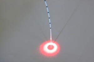 Fibra laser per la vena safena