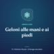 Copertina dell’articolo: Geloni alle mani e ai piedi – Dr. Federico Tosato